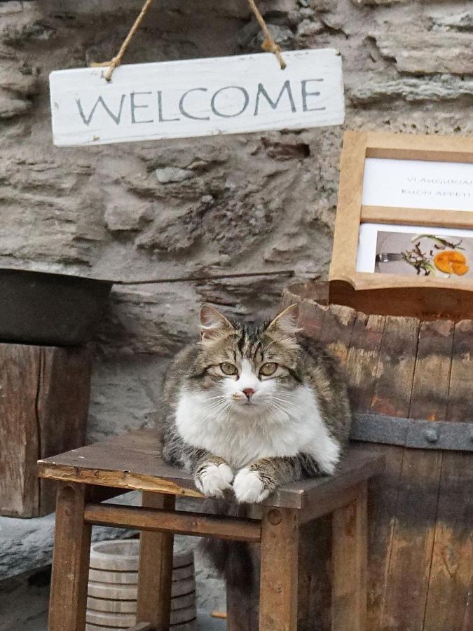 Pensione Albergo Diffuso Ceaglio Valle Maira Marmora Buitenkant foto