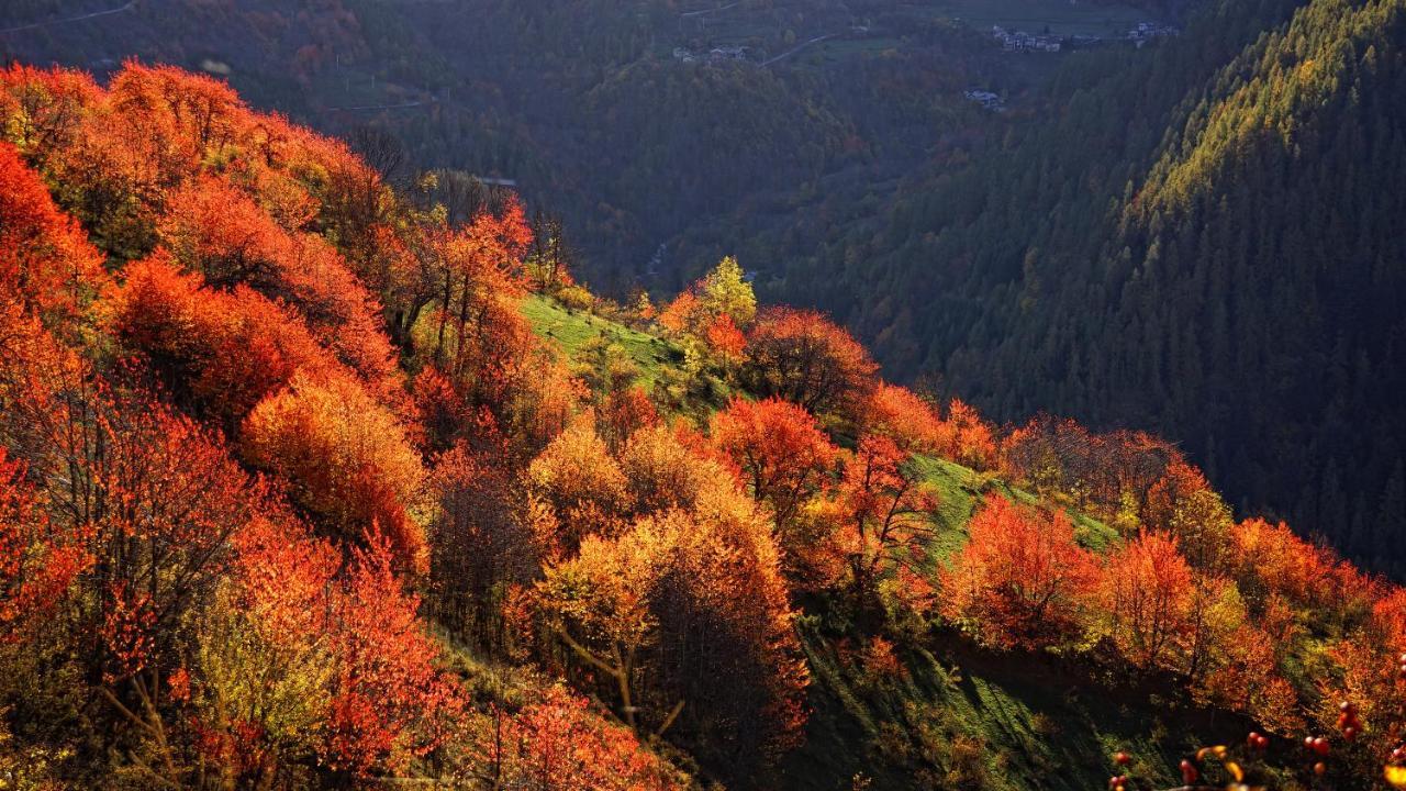 Pensione Albergo Diffuso Ceaglio Valle Maira Marmora Buitenkant foto